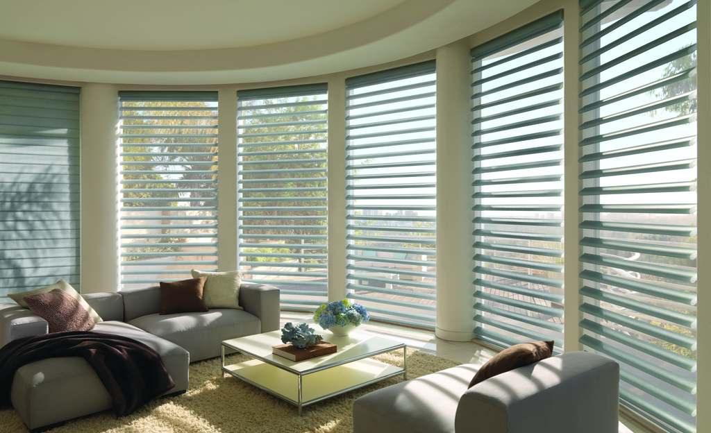 Window Shades Jacksonville, FL All About Blinds & Shutters All